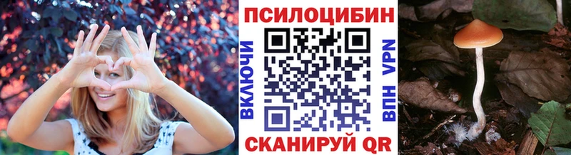 даркнет сайт  Саранск  Псилоцибиновые грибы прущие грибы 